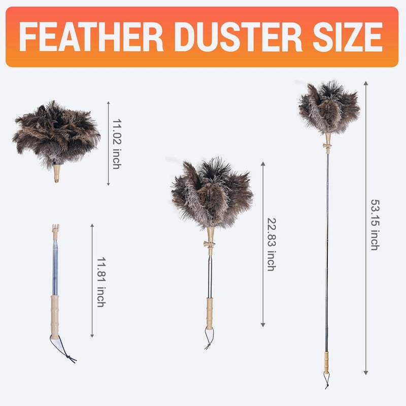 Cede noo Extendable Ostrich Feather Duster, Natural Ostrich Feathers Long Handle Duster for Cleaning, 47” Soft & Fluffy Feather Duster for High Ceilings, Fans, Walls, Furniture, Home Dusting(A11-Ivory) - Image 4